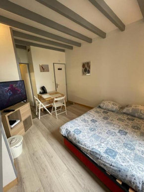 Le cosy- calme, idéale couple, business, longs séjours( WIFI, Netflix, stationnement public gratuit)